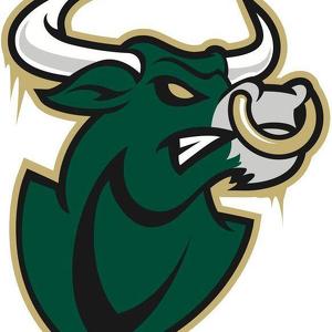 Team Page: The eBULLient USF Bulls